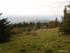 Une prairie avec une vue directe sur les étendues boisées de l'ouest